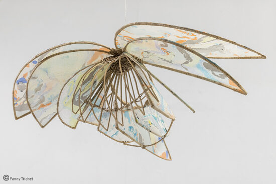 Cerf-volant