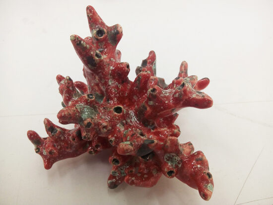 Lichen